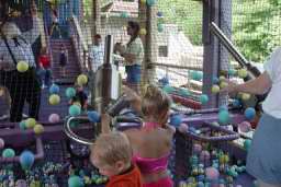 Attack of the foam balls.jpg